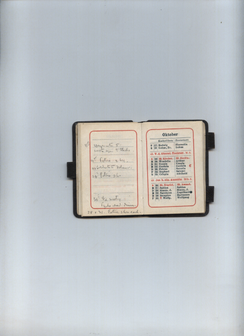 Ernest Jones Diary - Large Image